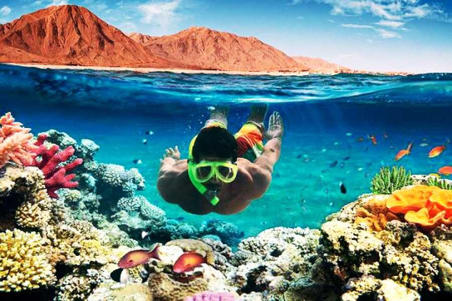 Diving and Snorkeling tour in Ras Mohamed from Sharm el Sheikh Port